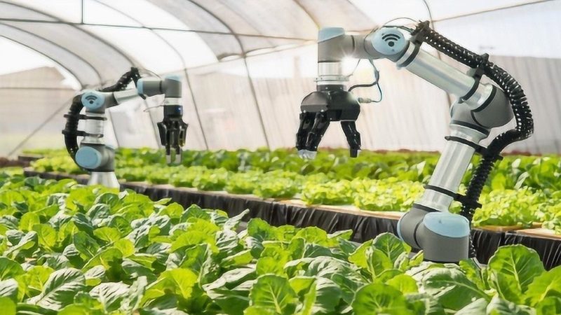 河南植保无人机eBee批发：高效植保新选择