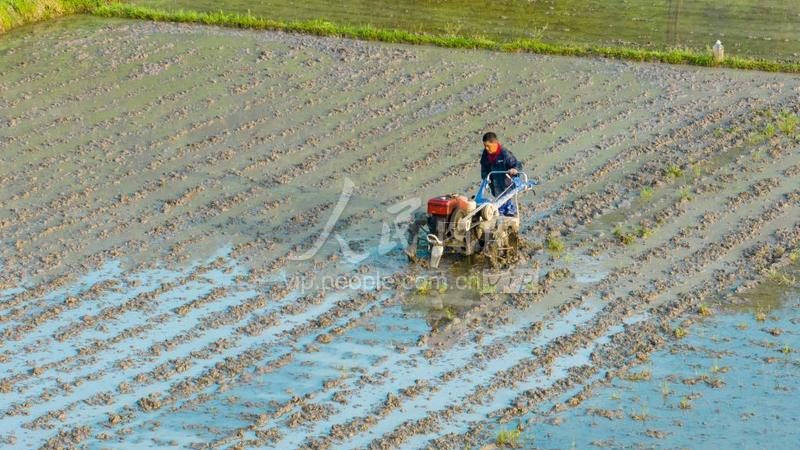 果园专用小型履带拖拉机履带宽度规格解析